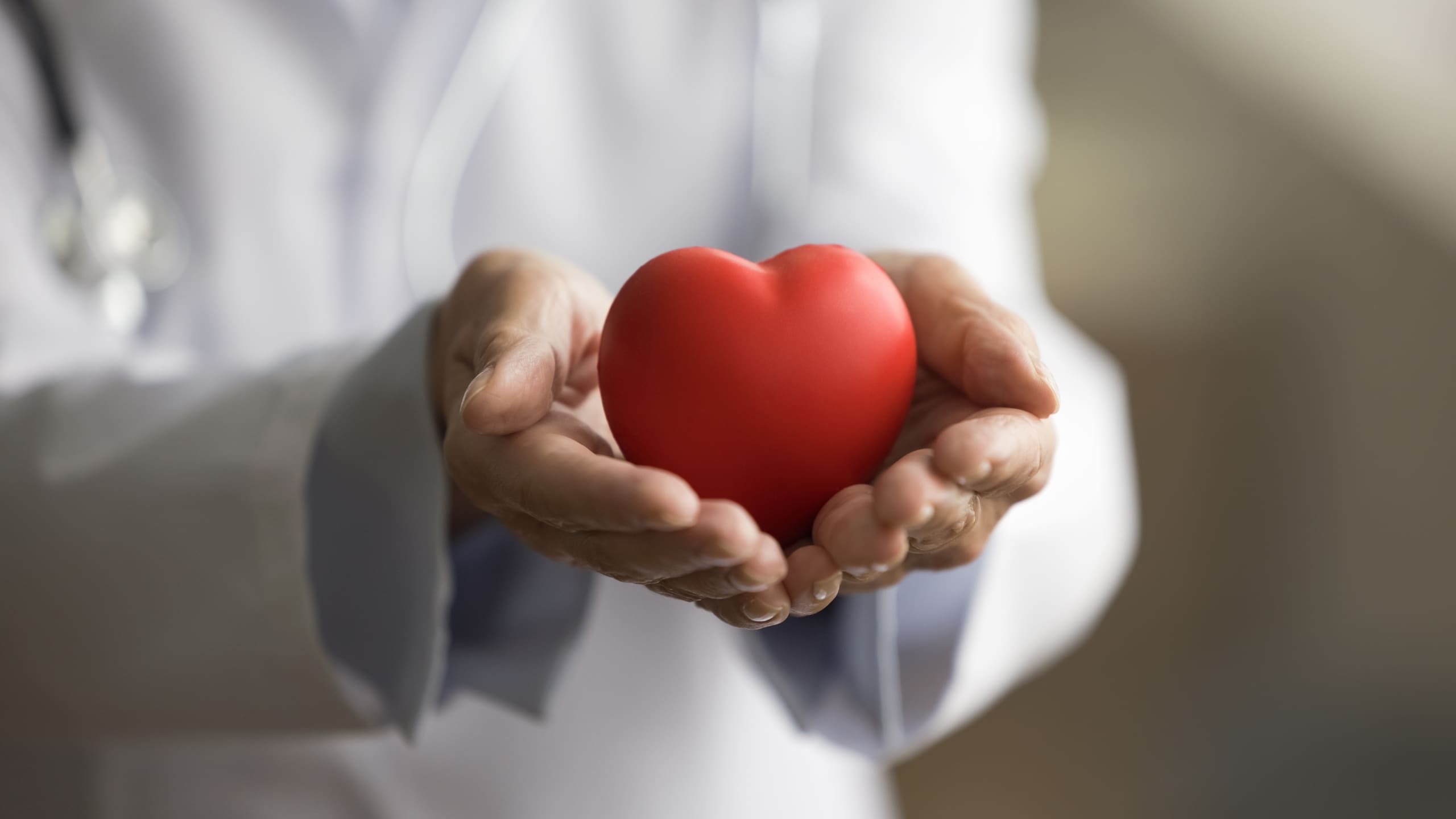 Close up of a medical professional holding a model heart